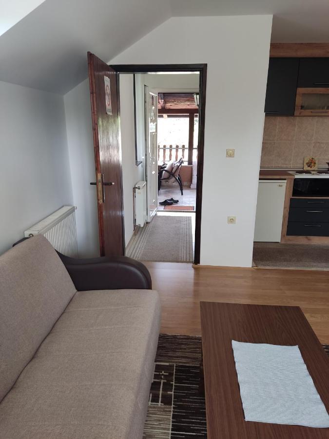 Apartmani Aleksijevic Zlatibor Exteriér fotografie