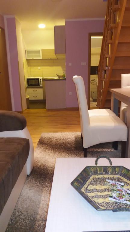 Apartmani Aleksijevic Zlatibor Exteriér fotografie