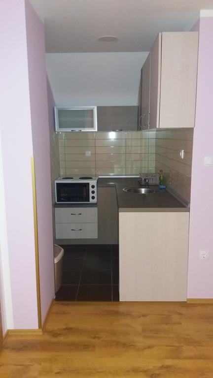 Apartmani Aleksijevic Zlatibor Exteriér fotografie