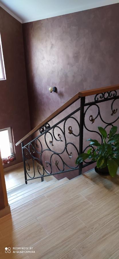 Apartmani Aleksijevic Zlatibor Exteriér fotografie