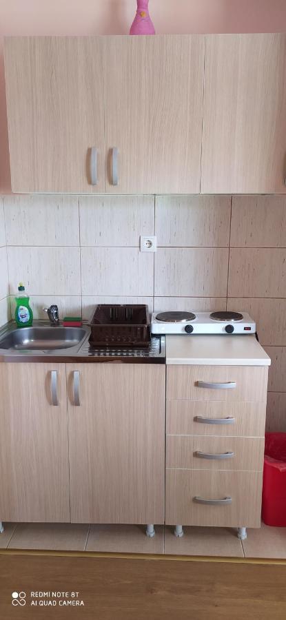 Apartmani Aleksijevic Zlatibor Exteriér fotografie