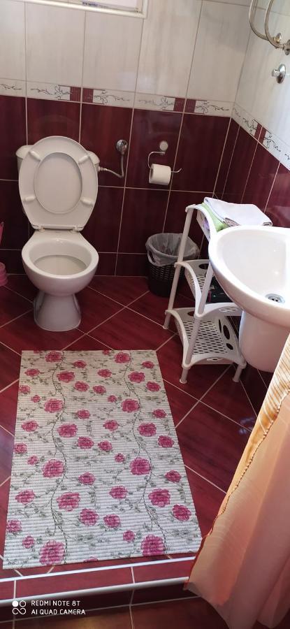 Apartmani Aleksijevic Zlatibor Exteriér fotografie